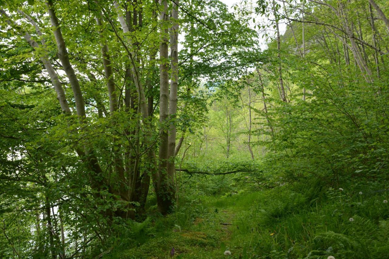 Treehut, Nature, Birds, Silence And Fjord Samlanes 外观 照片
