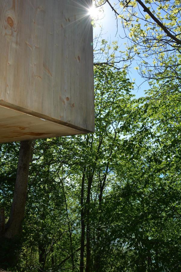 Treehut, Nature, Birds, Silence And Fjord Samlanes 外观 照片