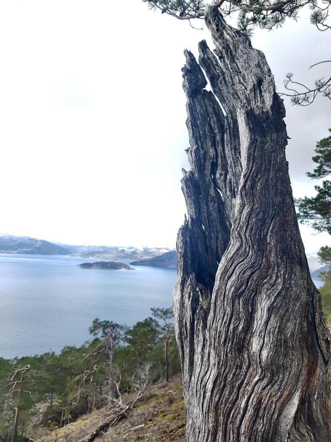 Treehut, Nature, Birds, Silence And Fjord Samlanes 外观 照片