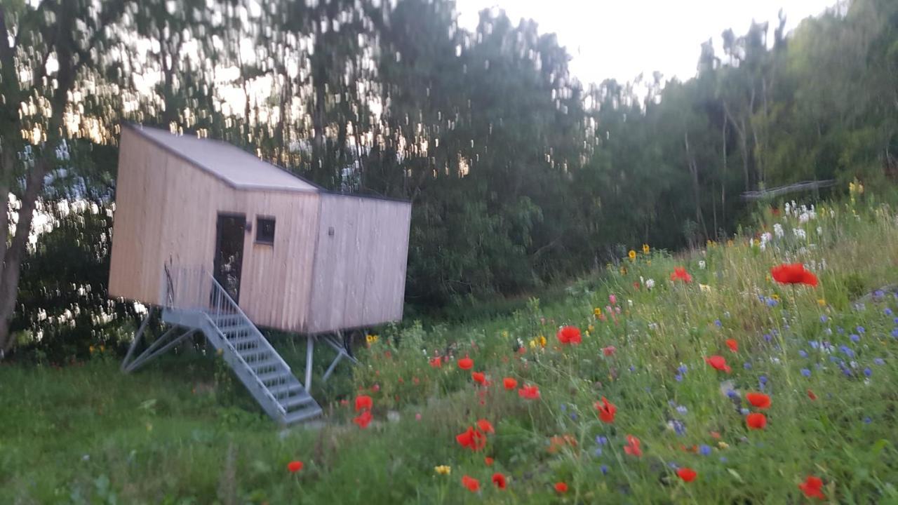 Treehut, Nature, Birds, Silence And Fjord Samlanes 外观 照片