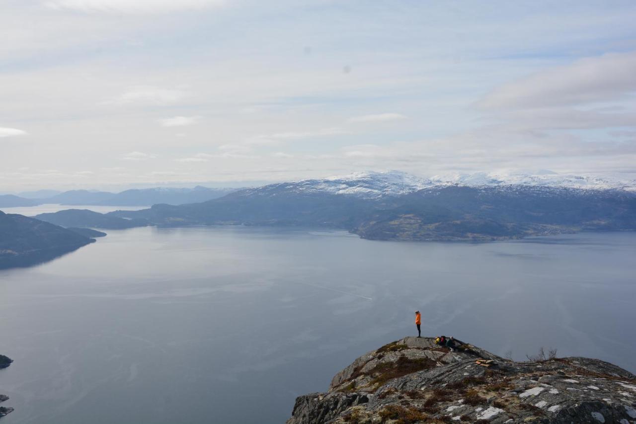 Treehut, Nature, Birds, Silence And Fjord Samlanes 外观 照片
