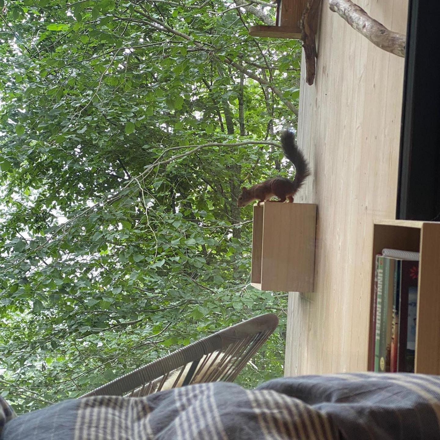Treehut, Nature, Birds, Silence And Fjord Samlanes 外观 照片